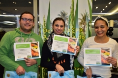 Desafio A Natureza do Arroz